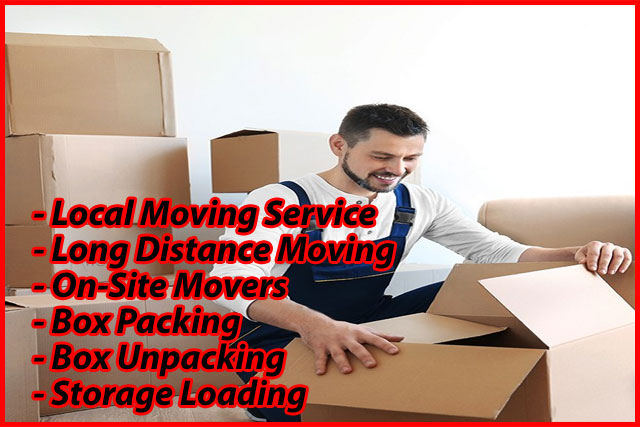 Packers And Movers Noida Sector 156